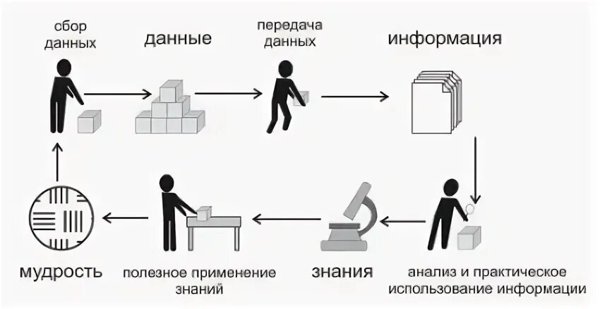 Подробнее о статье Система